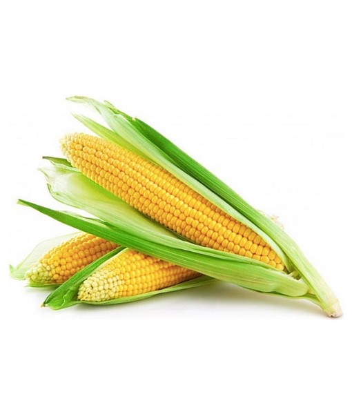 Corn cobs