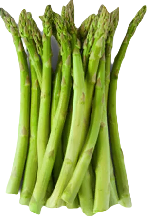 Asparagus