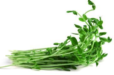 Sprouts - Snow Peas