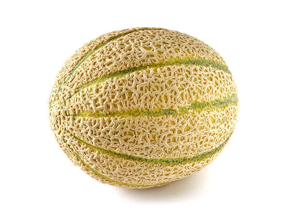 Cantaloupe