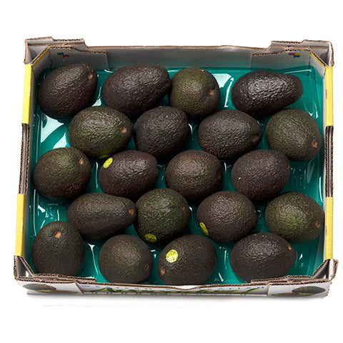 Avocado tray - Premium