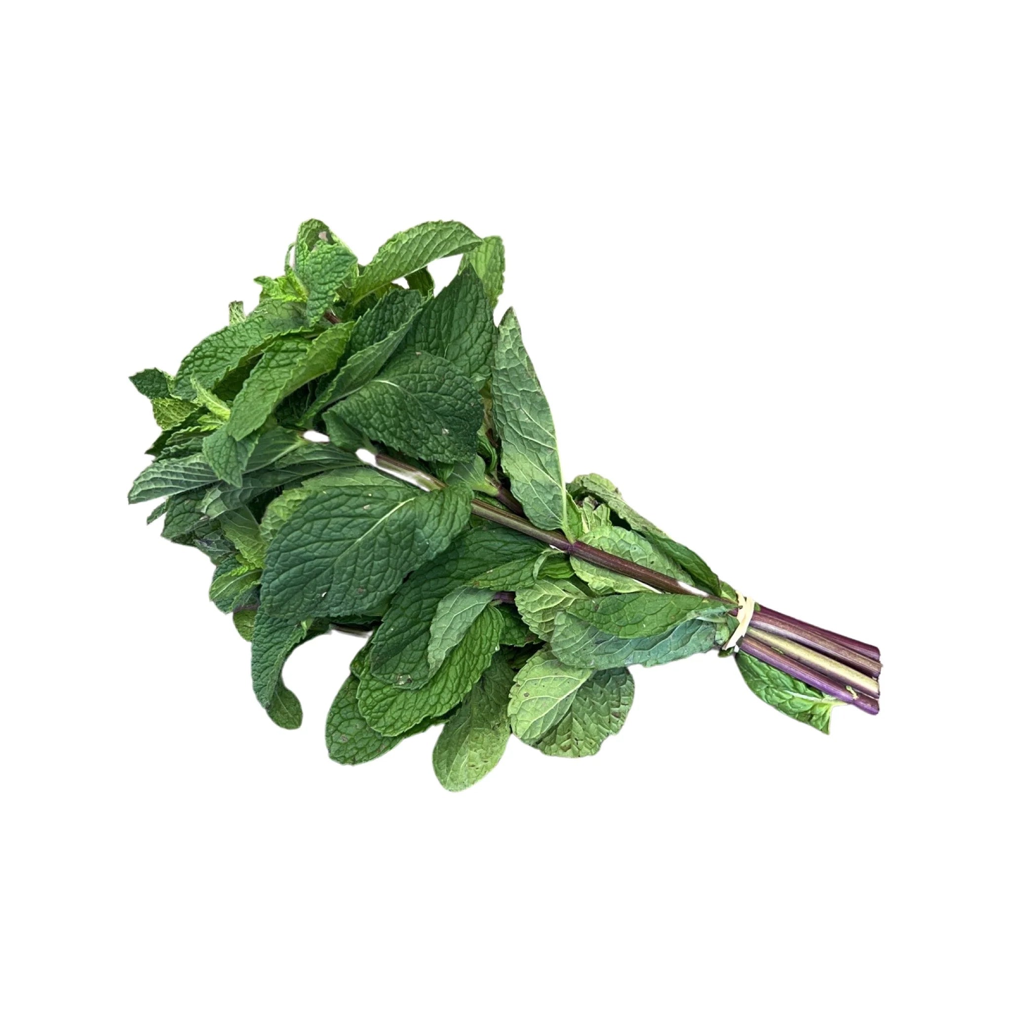 Mint – Dielectric Organics